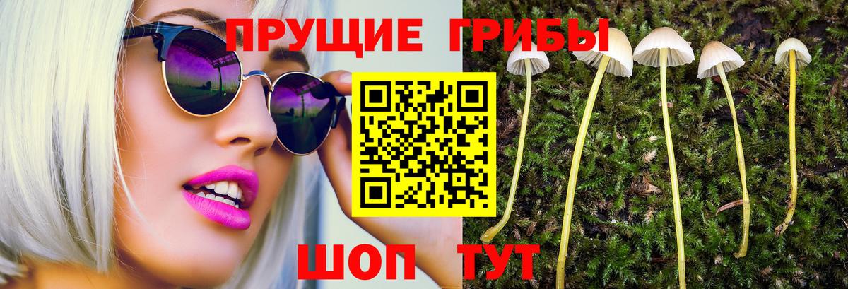 Кандалакша  Галлюциногенные грибы мухоморы  Псилоцибиновые грибы ЛСД  Вход с VPN 