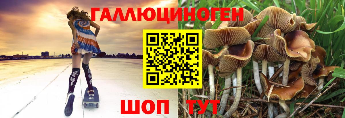 Галлюциногенные грибы Magic Shrooms Кандалакша